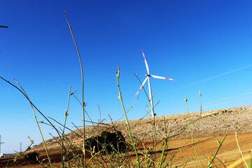 wind turbine in the wind