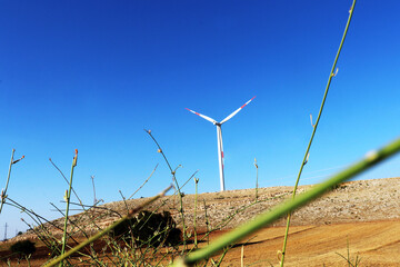 wind turbine in the field