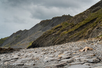 Flysch in basque country coast
