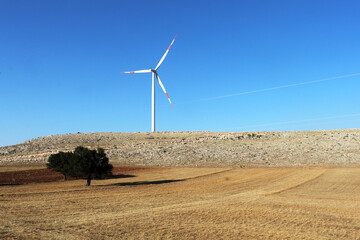 wind turbines farm