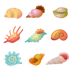 Seashell. Sea weather item starfish colorful sand items recent vector stylized seashells isolated