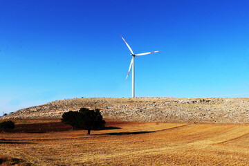 wind turbines in the field