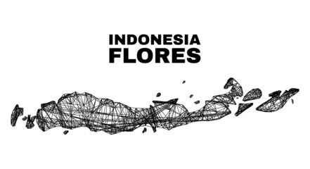Net irregular mesh Flores Islands of Indonesia map. Abstract lines are combined into Flores Islands of Indonesia map. Linear carcass flat net in vector format.