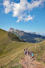 Obraz premium Wandern