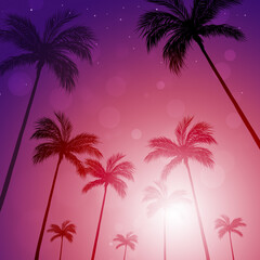 Plakat palm tress city night