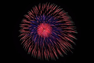 古河花火大会「全国花火紀行・太陽堂田村煙火店」