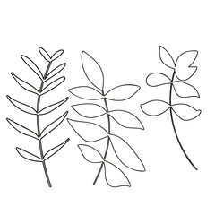 realistic leaves illustration