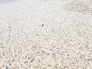 Large white sand and waves
