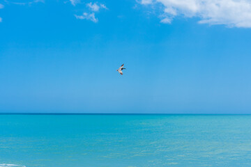 The blue sky merges on the horizon with the turquoise sky. A pelican can be seen in flight