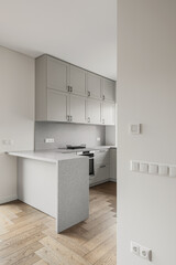Fototapeta na wymiar Modern kitchen interior design in grey tones and oak wood floor
