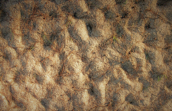 Bumpy beach sand textured background