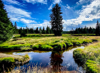 Obraz premium blue sky, strees, meadows and the stream in the Jizera forest, hamlet Jizerka, Czech Republic