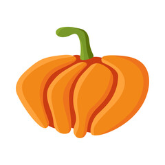 Orange pumpkin, colorful cartoon illustration isolated on white background. Vector