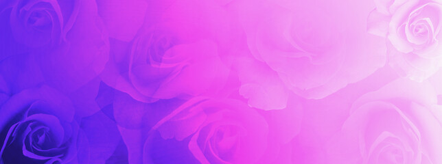 pink and purple roses flower bouguet on nature background, template, banner, name card, copy space