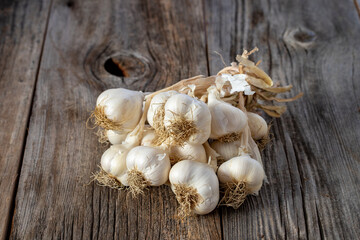 fresh ripe garlic on wood background