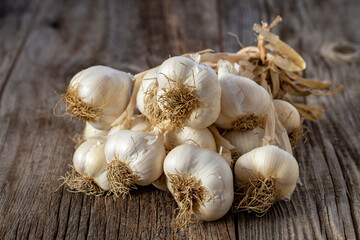 fresh ripe garlic on wood background. Close up