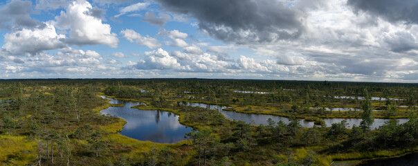 high angle panorama view of lakes and lagoons in a raised bog and marsh landscape