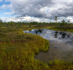 raised bog and marsh landscape under an expressive sky