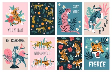 Tigers tropical leaves cards. Beautiful wild nature jungle, exotic predatory animals from cat family, jaguars, leopards and flowers. Safari and zoo mammals posters. Vector isolated set