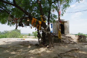 仏教八大聖地　インドのサンカーシャ