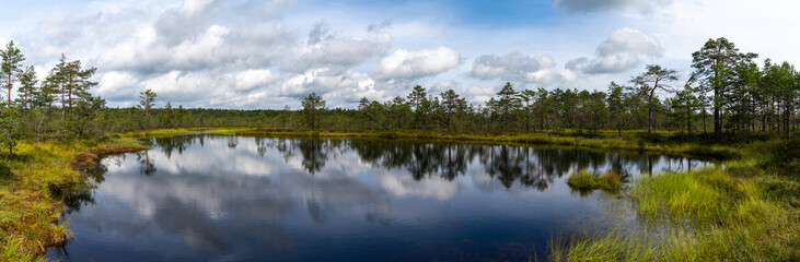 Fototapeta na wymiar panorama of a peat bog and blue lake landscape under an expressive sky with white clouds