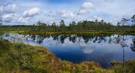 peat bog and blue lake landscape under an expressive sky with white clouds
