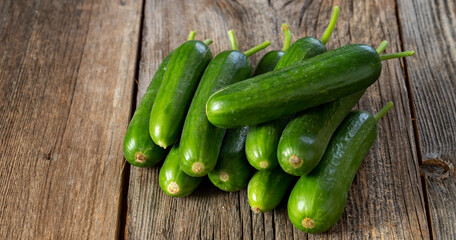 fresh ripe cucumbers on wood background. Copy space