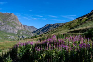 Obraz premium Paysage de montagne dans le Parc National de la Vanoise dans les Alpes dans le col de l'Iseran en été en Savoie en france