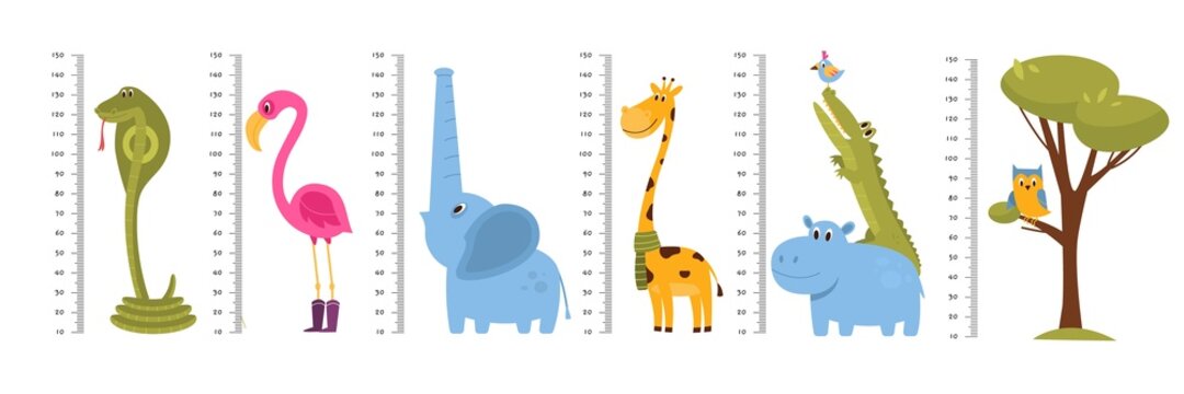 Kids growth rulers. Children room wall decors, funny height measured with cute colorful animals, tree and birds, cartoon giraffe elephant and pink flamingo. Vector set