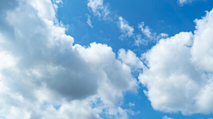 Fototapeta premium 青空・雲
