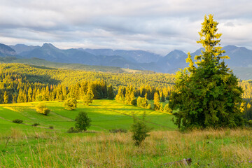Polish mountain landscapes, fields and meadows