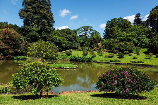 Peradeniya Royal Botanical Gardens in Kandy, Sri Lanka