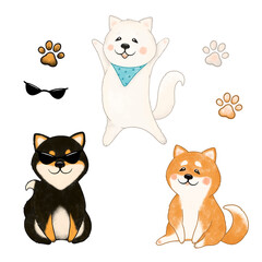 Shiba inu dog black, red, white and dog paw print. Cute dogs are sitting, having fun. For fabric, t-shirt, background.