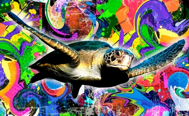Tuinposter close-up van een geschilderde schildpad © reznik_val