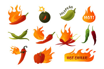 Hot pepper. Cartoon green and red chilli spice with fire flames. Sauce and dish ingredients. Seasoning food emblems with lettering. Burning vegetables. Vector condiment stickers set