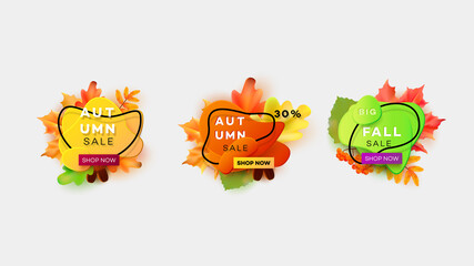 Autumn sale. Liquid vector banner.