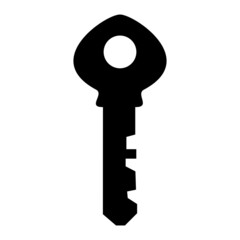 Vector Key Glyph Icon Design
