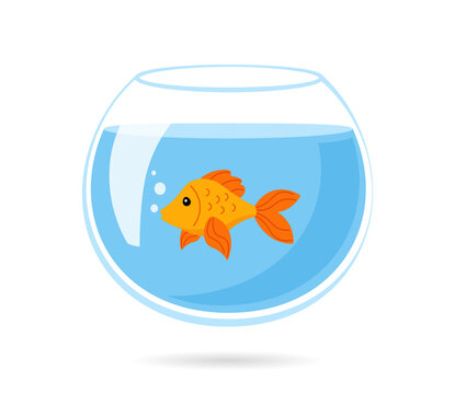 Fishbowl Clipart Bilder – Durchsuchen 1,039 Archivfotos, Vektorgrafiken und  Videos | Adobe Stock