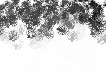 Light Gray vector doodle pattern with branches.