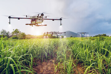 Agriculture drone flying on sugar cane farm to sprayed fertilizer, 3d illustration rendering