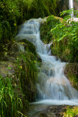 Obraz premium Wasserfall Bad Urach Brühl Bach Uracher Wasserfall Baden-Württemberg Deutschland Wald Idyll Bach Pflanzen nass feucht grün Schwäbische Alb Attraktion Kaskade Sommer Regen Wanderung Langzeit