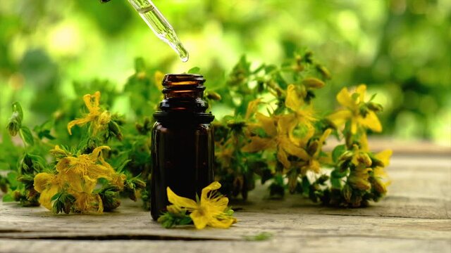 extract and tincture of St. John's wort in a small bottle. Selective focus.