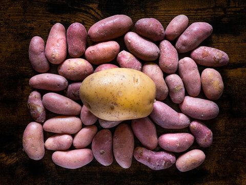 des patates grenailles roses avec une patate &agrave; pur&eacute;e jaune
