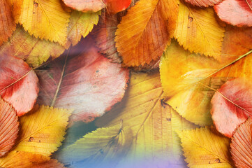Beautiful Abstract Background. Graphic modern art. (a63)