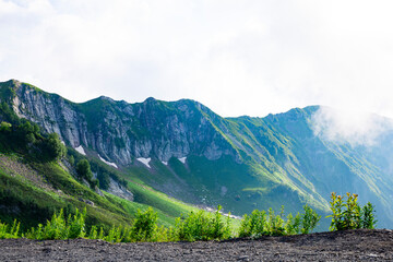 Fototapeta premium Beautiful view on a green mountain valley, background with nature