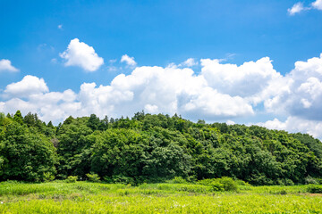 田園風景