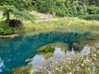 Bistrac spring or the water source of the Bistrac stream in Desmerice - Ogulin, Croatia (Izvor vode Bistrac ili vrelo potoka Bistrac u Desmericama - Ogulin, Hrvatska)