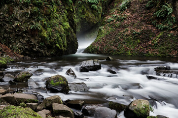 waterfall in the forest