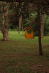 bird feeder and squirrels in the forest