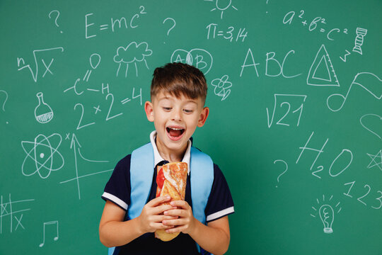 Young amazed male kid school boy 5-6 years old in t-shirt backpack biting sandwich eating lunch isolated on green wall chalk blackboard background. Childhood children kids education lifestyle concept